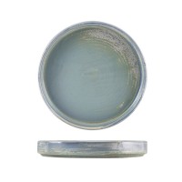 Тарелка презентационная с бортиком 18хh 2.6 см, Terra Porcelain Seafoam, GenWare